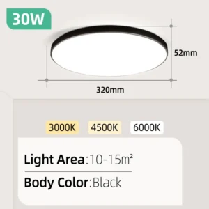 Black 30W 220V