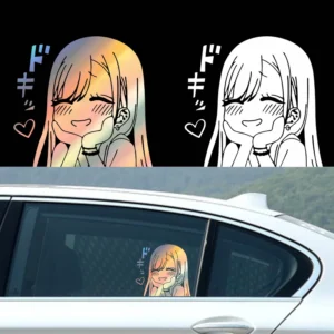 Plastic Car Interior Accessory
