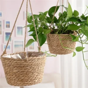 Garden Accessory