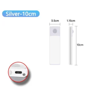 Silvery 10CM