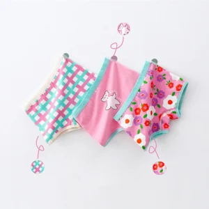 Br-panties