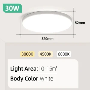White 30W 220V