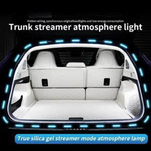 Car Lighting and Electronics