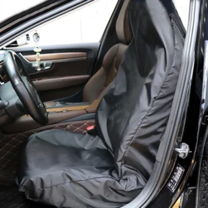 Car Mat or Cushion