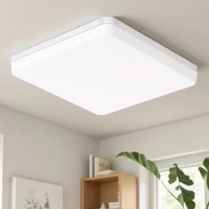 Lighting