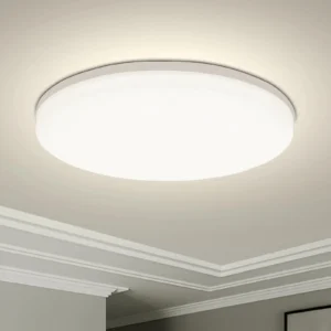 Neutral Light